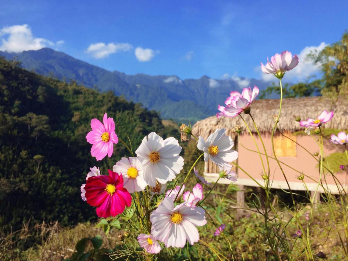 Chapa Farmstay - Mountain Retreat Sapa Exterior foto