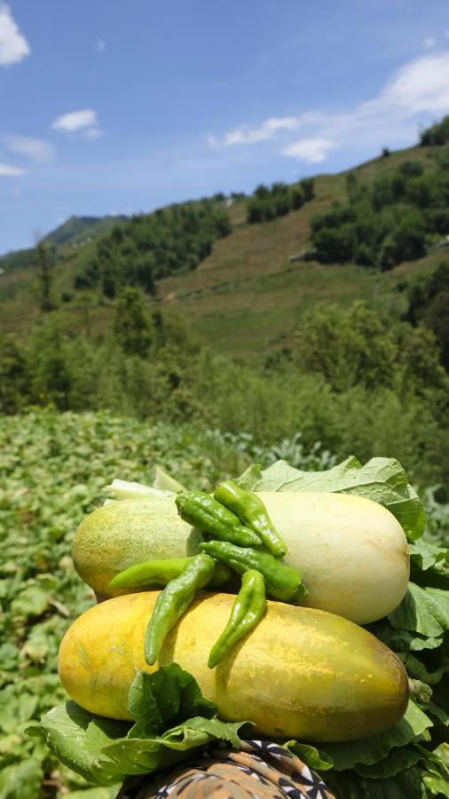 Chapa Farmstay - Mountain Retreat Sapa Exterior foto